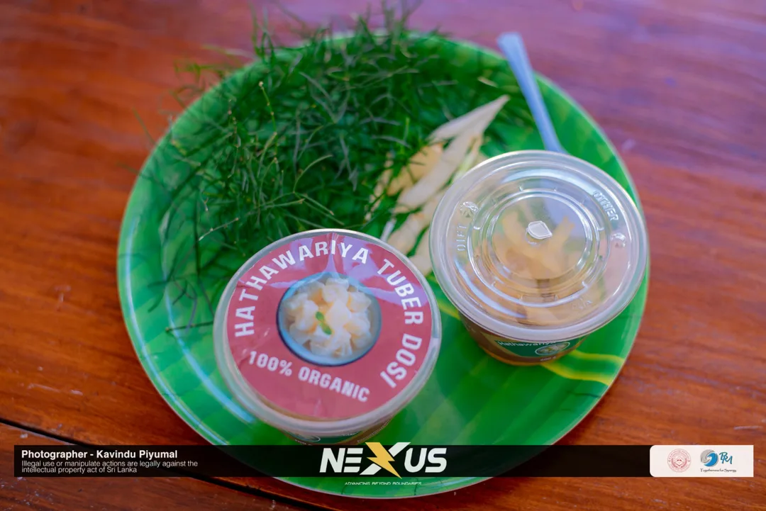 Nexus Exhibition, photo 2