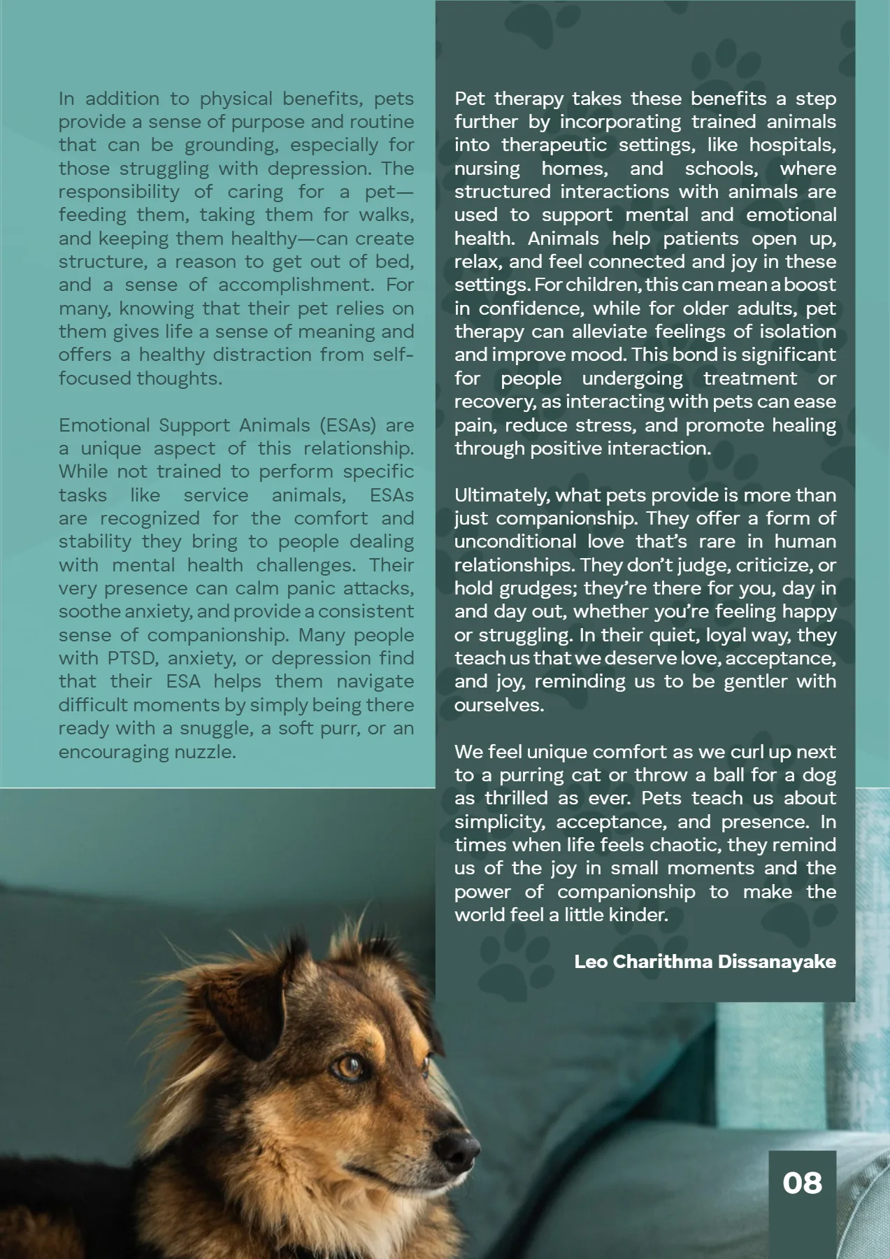 Page 13 of STEER Magazine - October (2024)